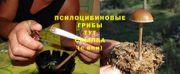 apvp Михайловск