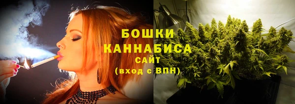 молекула духа Медногорск