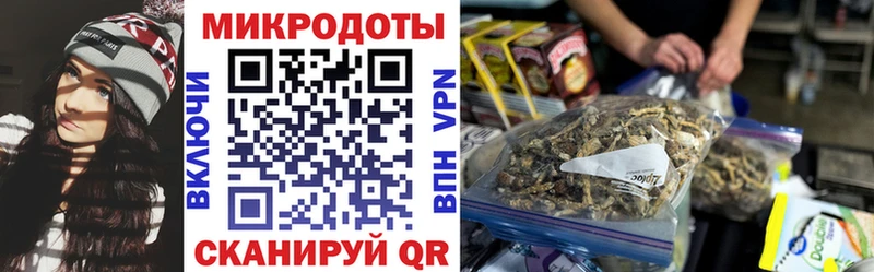 хочу наркоту  Катайск  Псилоцибиновые грибы Cubensis 